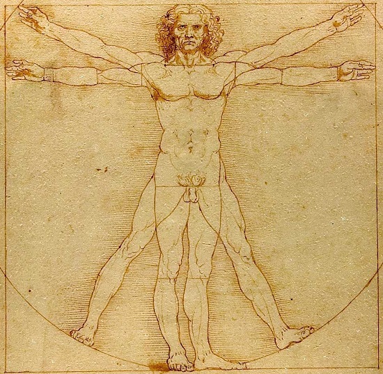 Leonardo da Vinci, Uomo Vitruviano